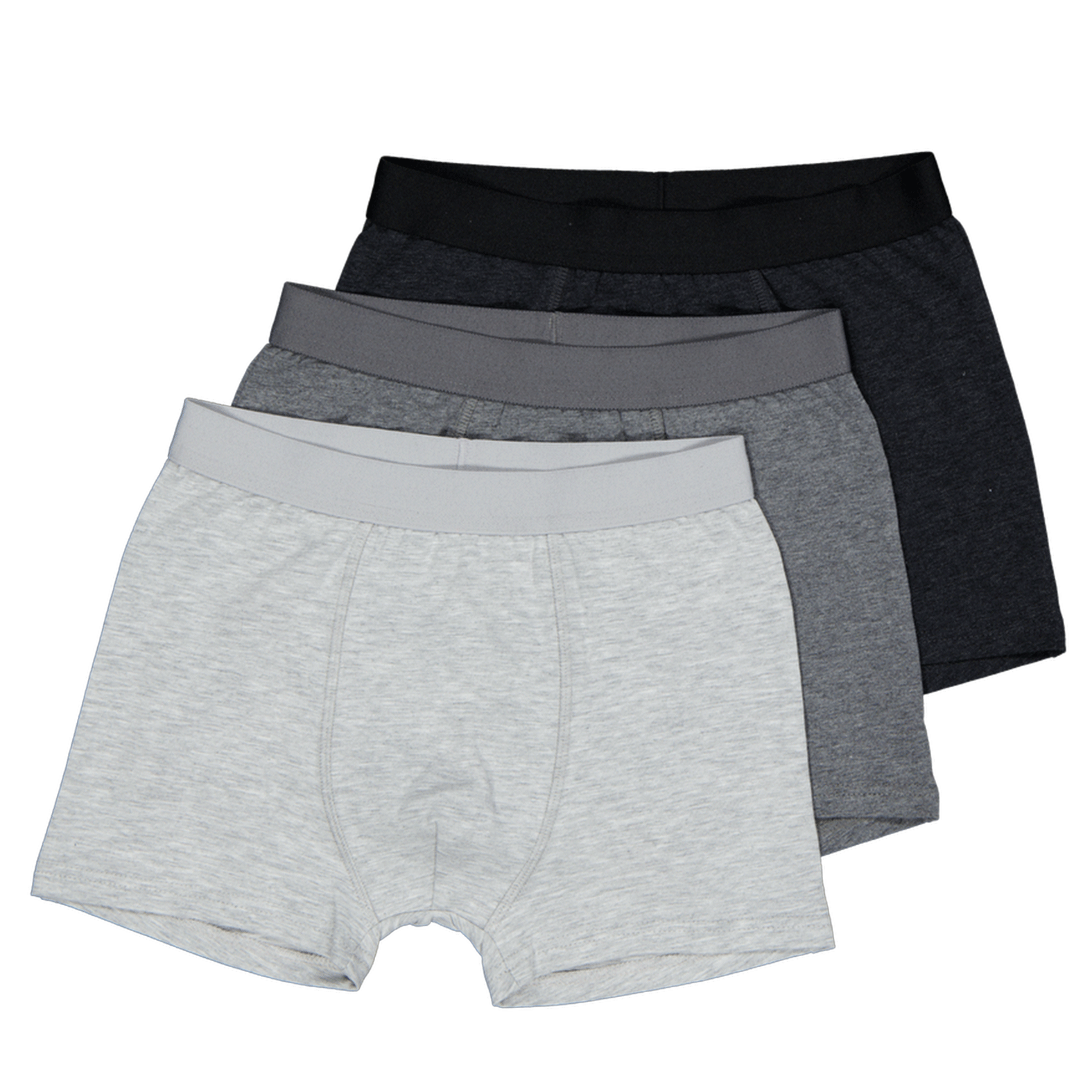 Boxer - Gris 1 13356-boxer-gris-1.png