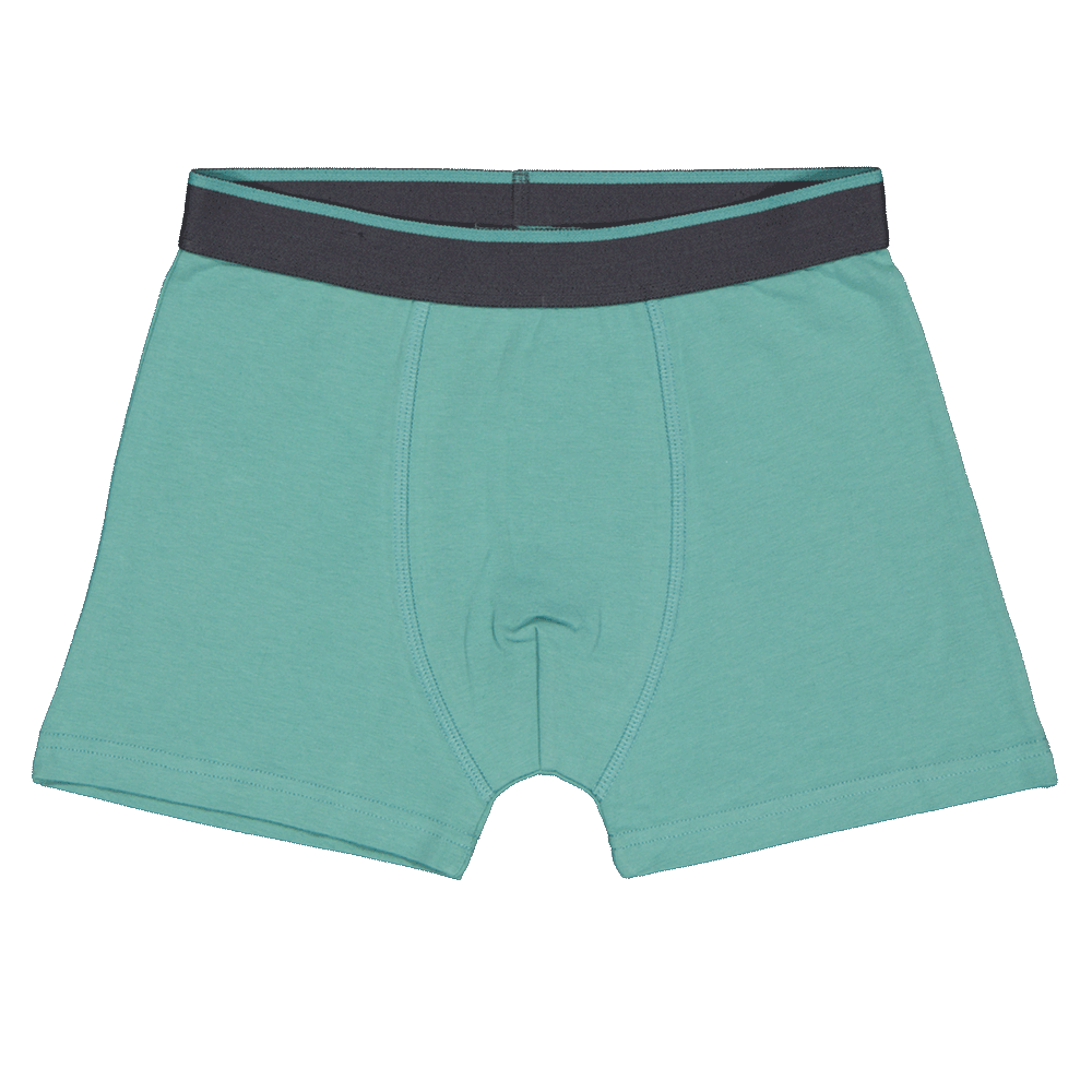 13992-boxer-gris-1.png