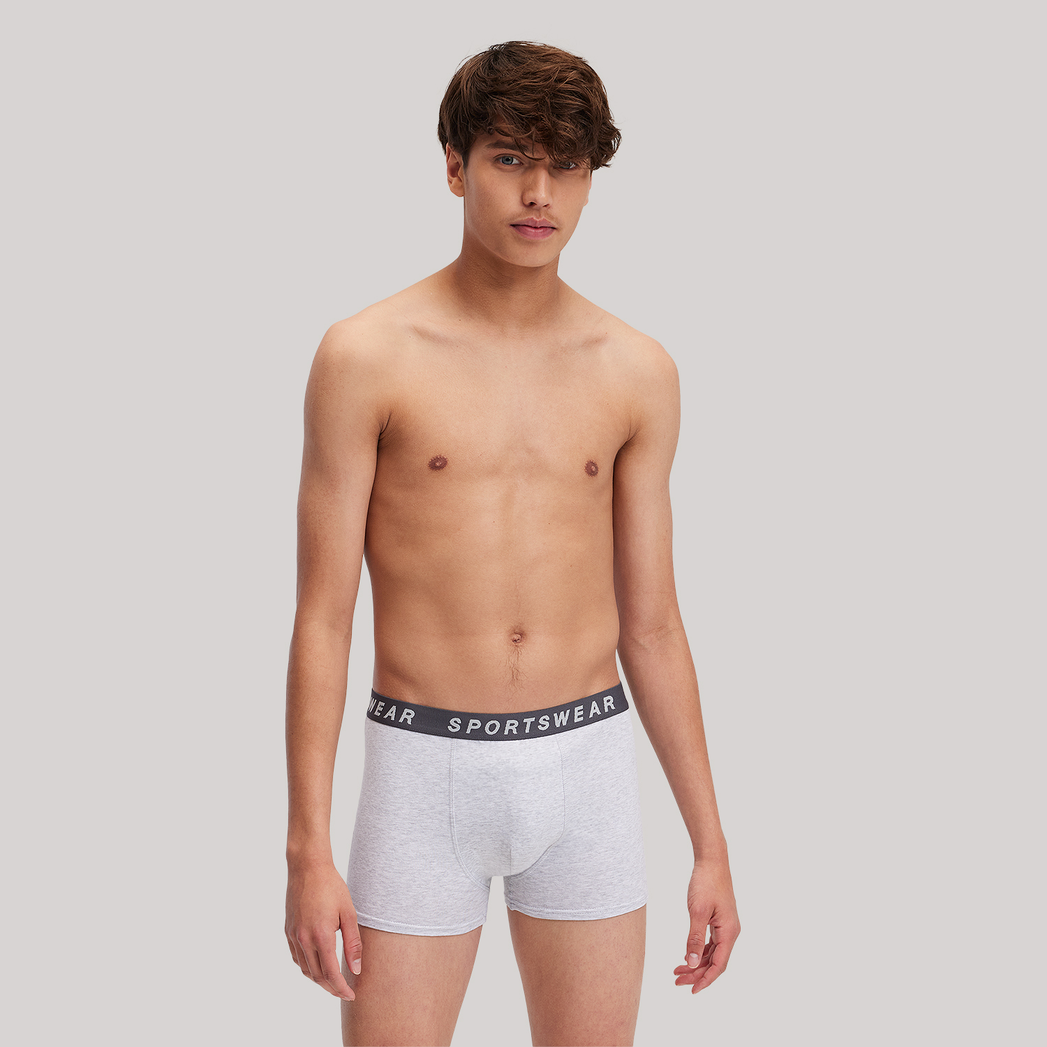 Boxer - Gris 1 17312-boxer-gris-1.jpg