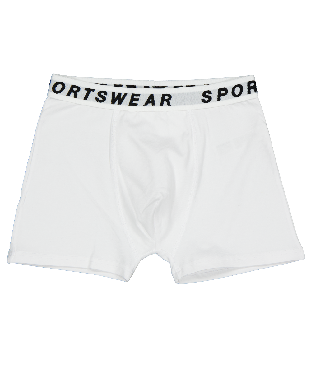17595-boxer-gris-1.webp