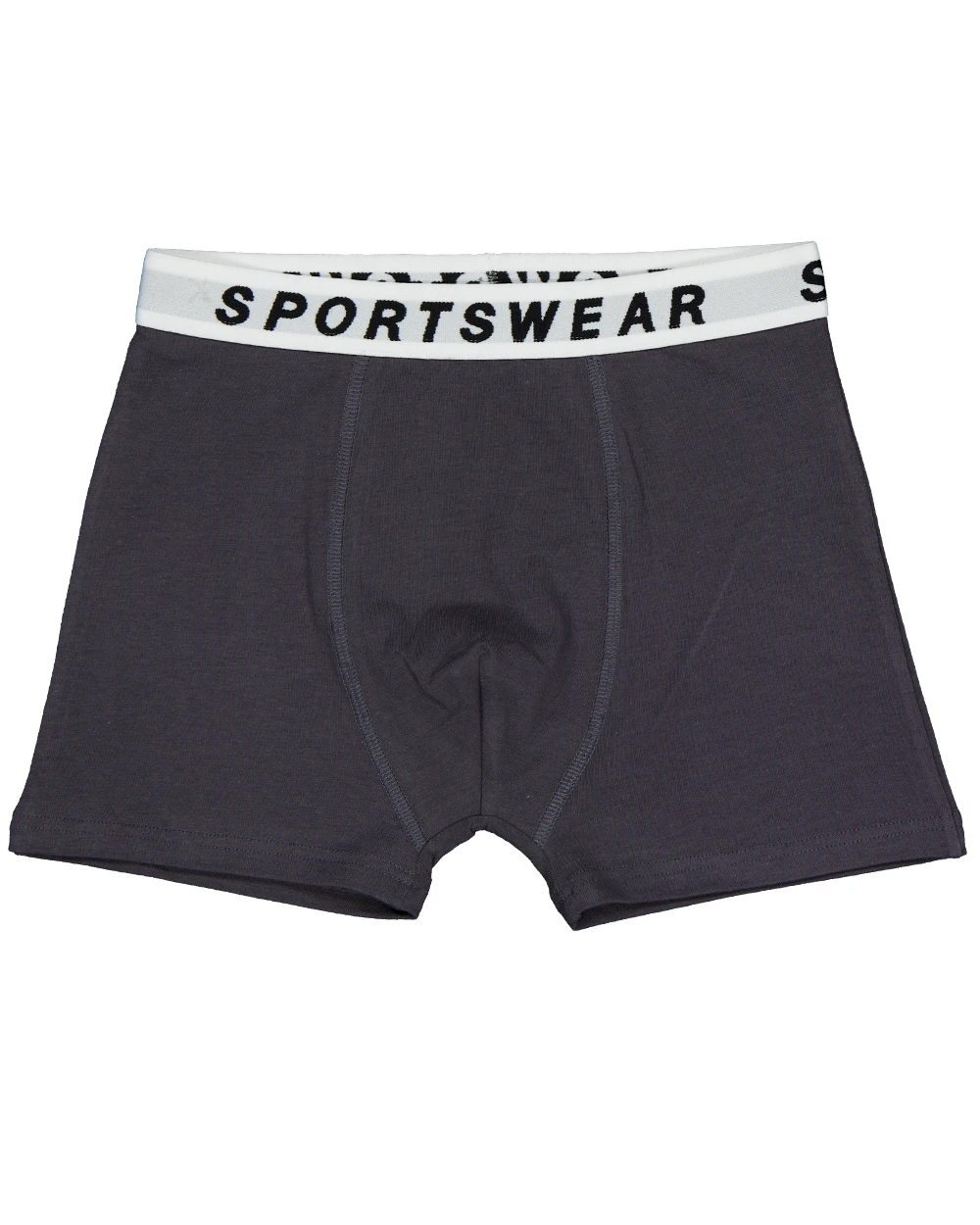 17595-boxer-gris-1.webp