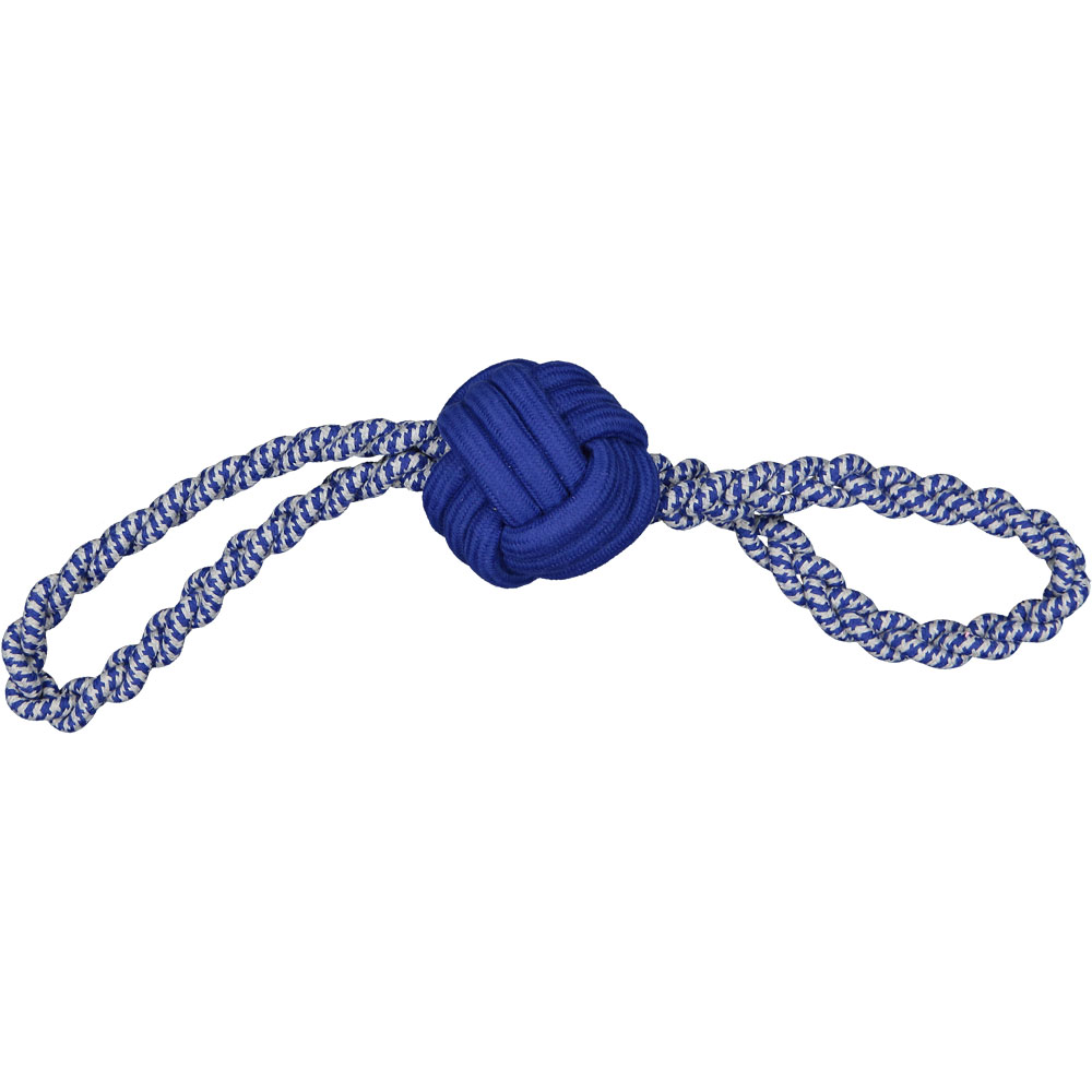 Corde Ã  jouer pour chien - Bleu