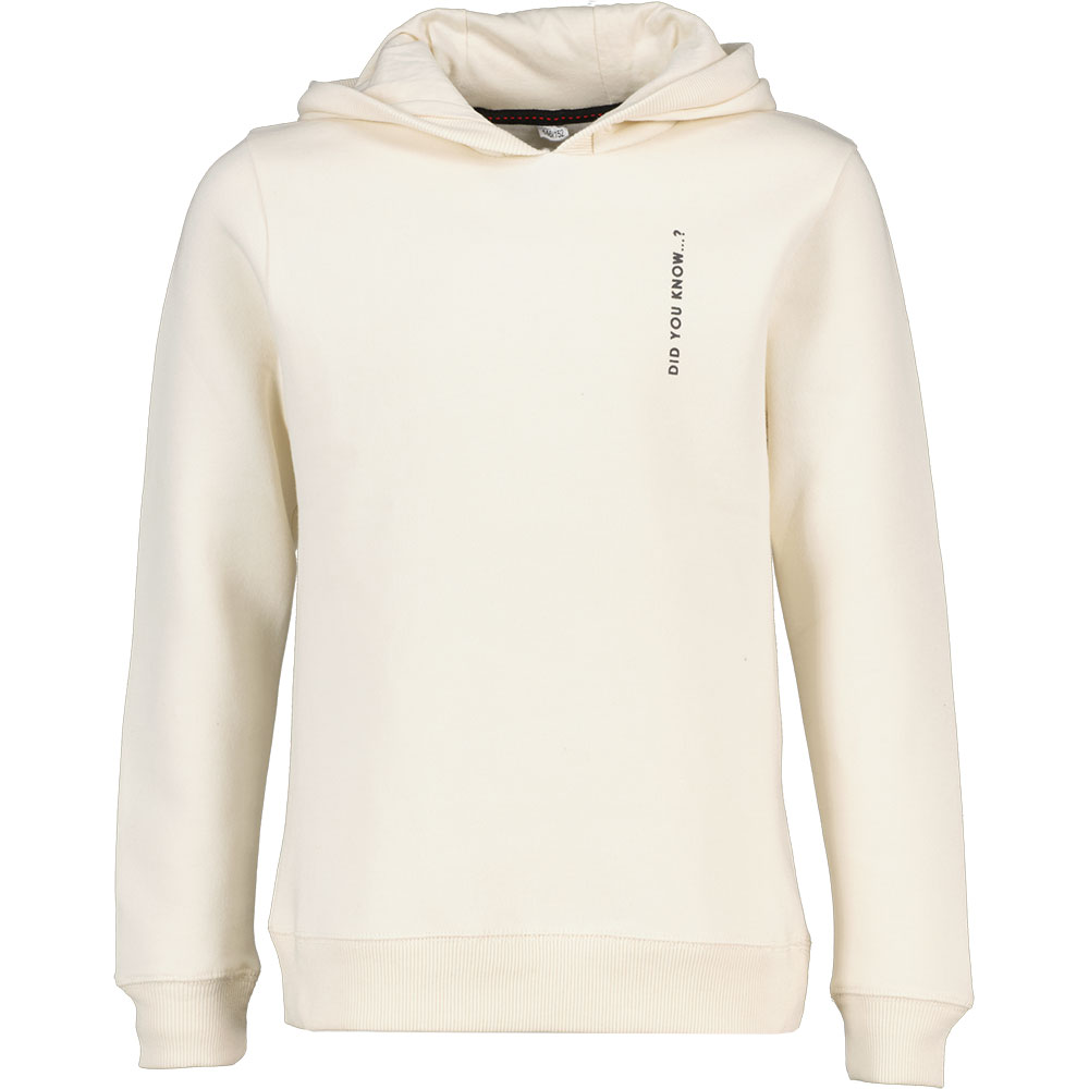 Sweat Ã  capuche - Blanc
