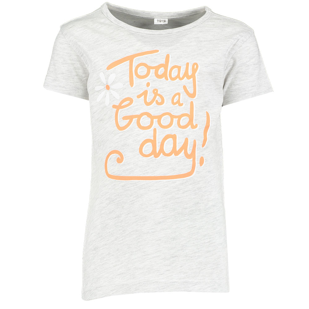 Tee-shirt - Gris