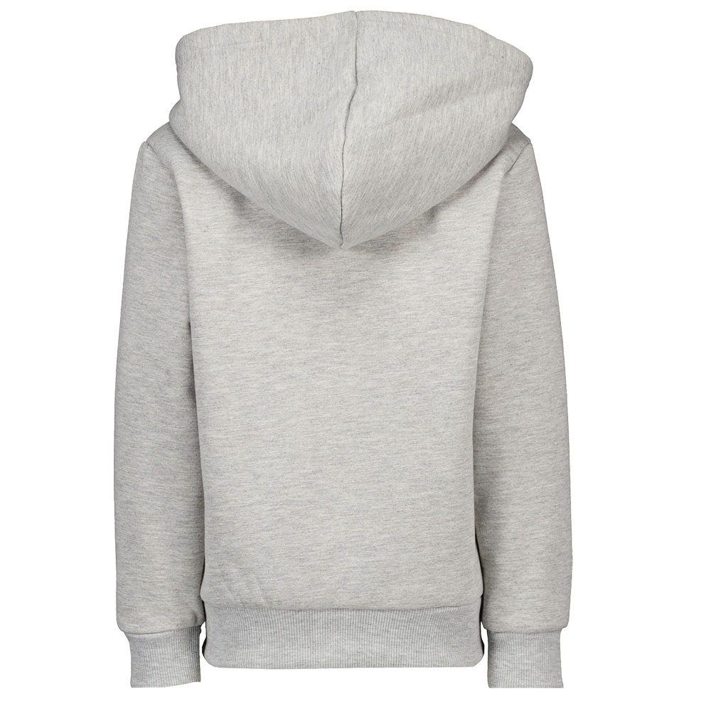 19809-sweat-capuche-gris-1.jpg