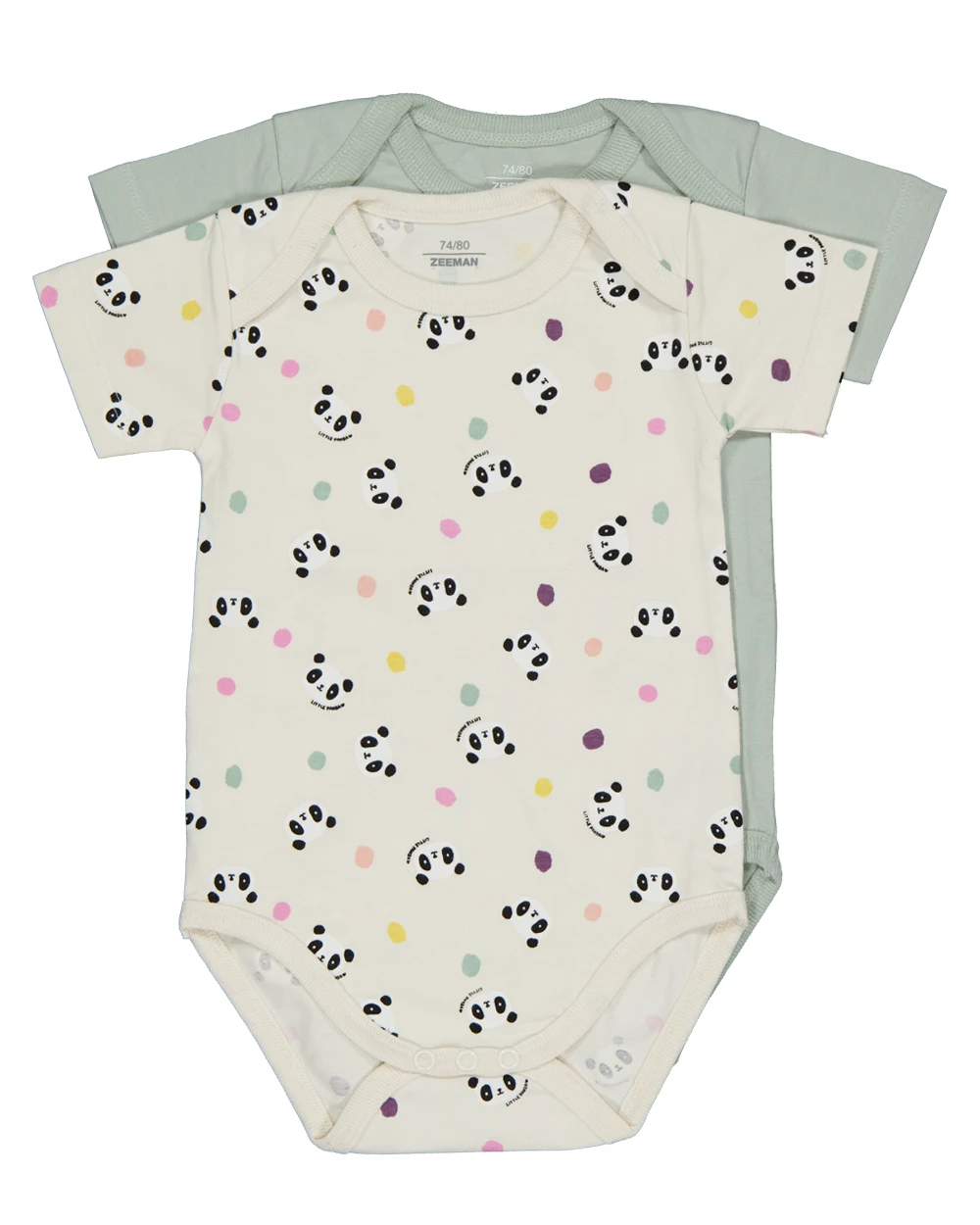 Body - Vert 1 20966-body-vert-1.webp