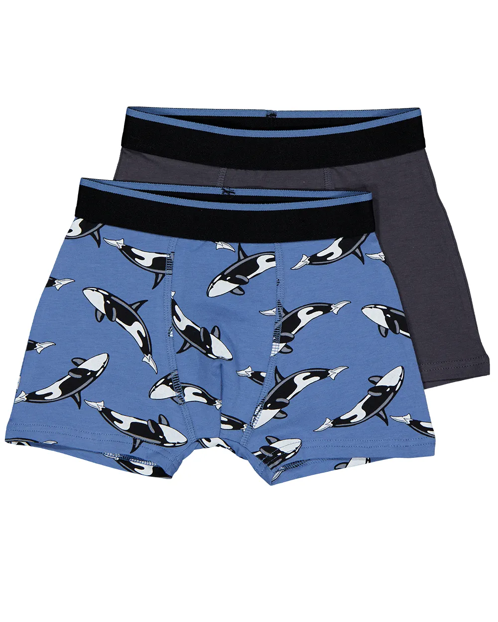 Boxer - Bleu