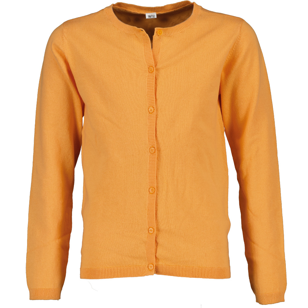 Veste/gilet - Orange