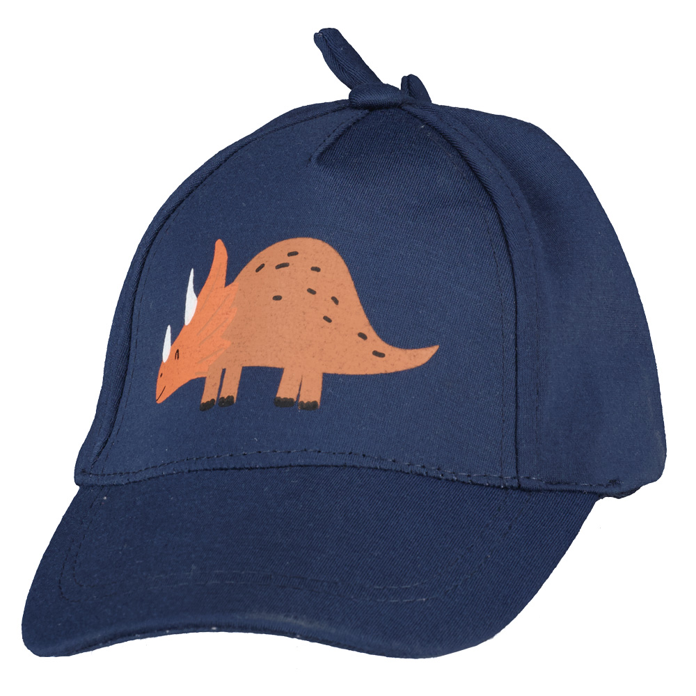Casquette - Bleu
