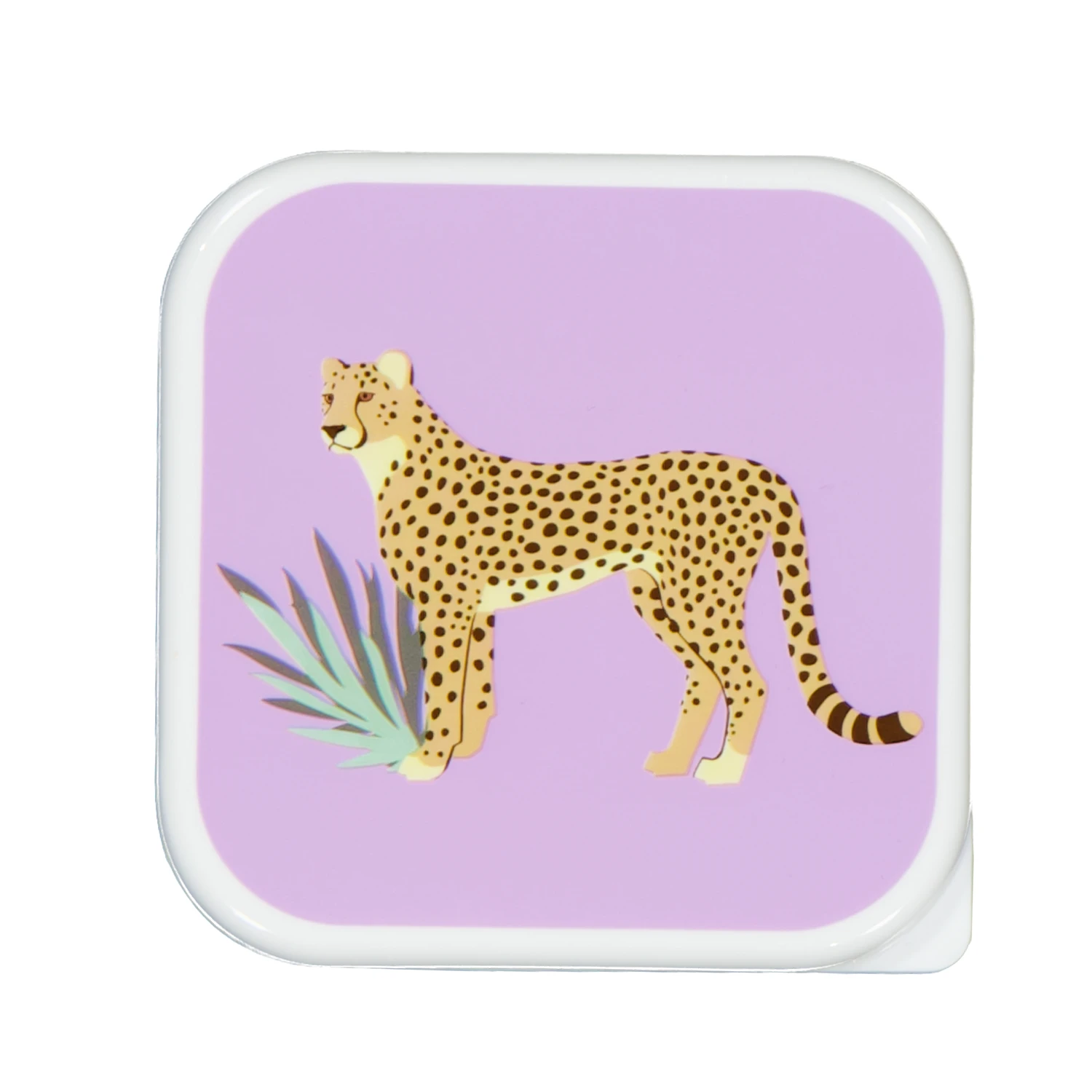 25801-bo-te-repas-violet-1.webp