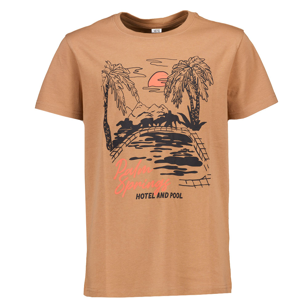 Tee-shirt - Marron