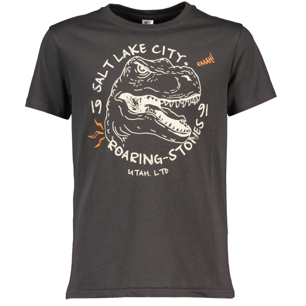Tee-shirt - Gris