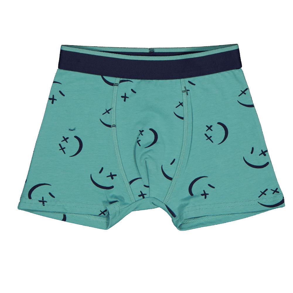 295-boxer-vert-1.png