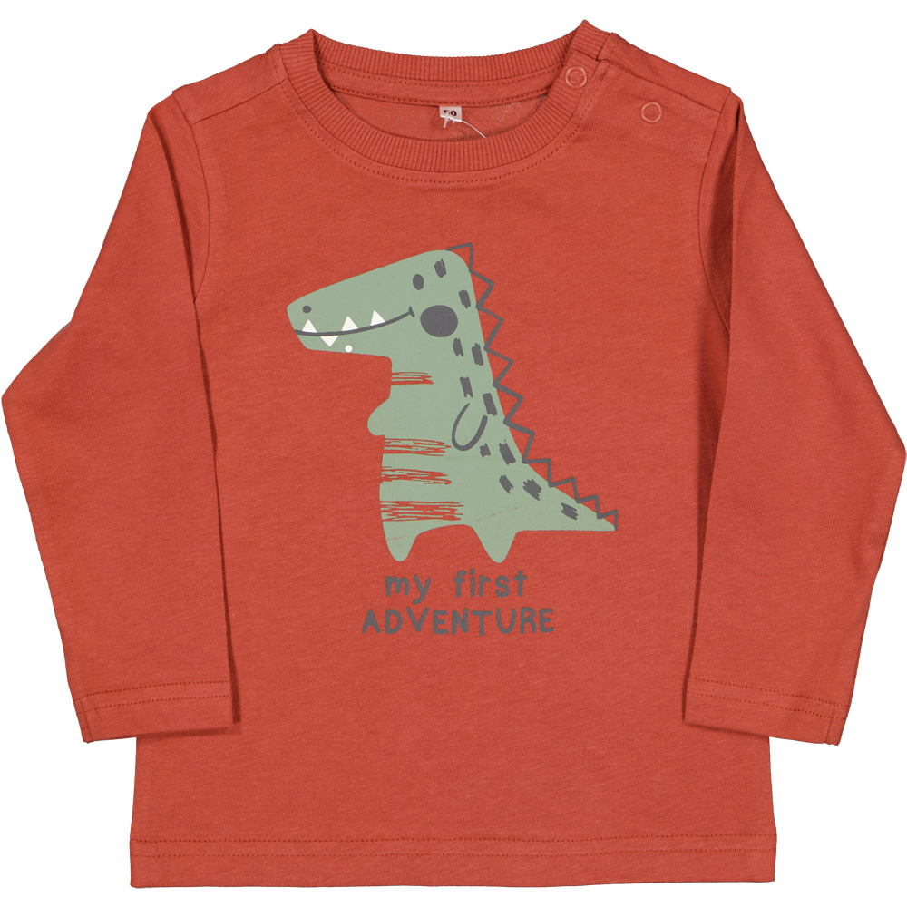 Tee-shirt - Marron