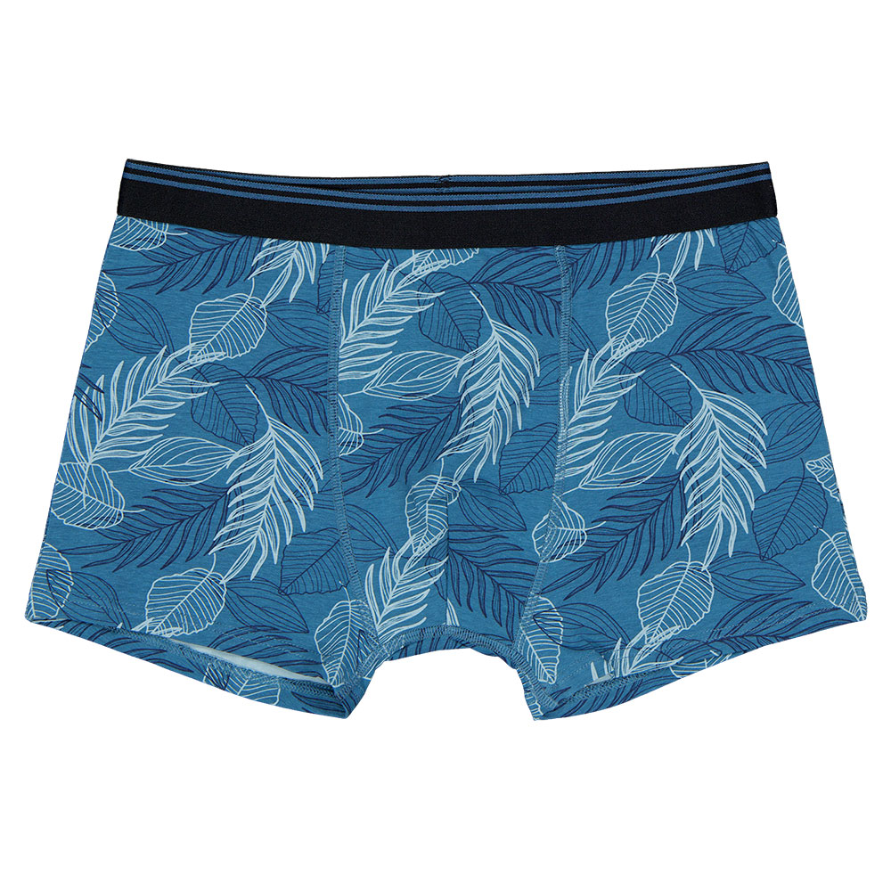Boxer - Bleu