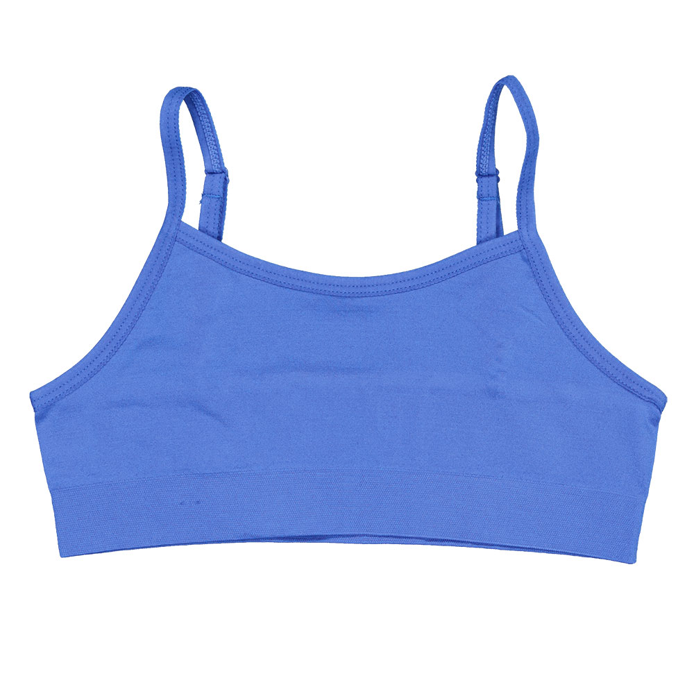 33941-brassi-re-bleu-1.jpg