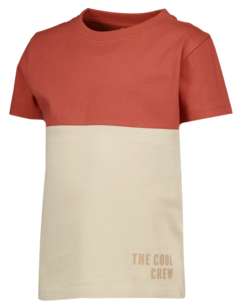 Tee-shirt - Marron