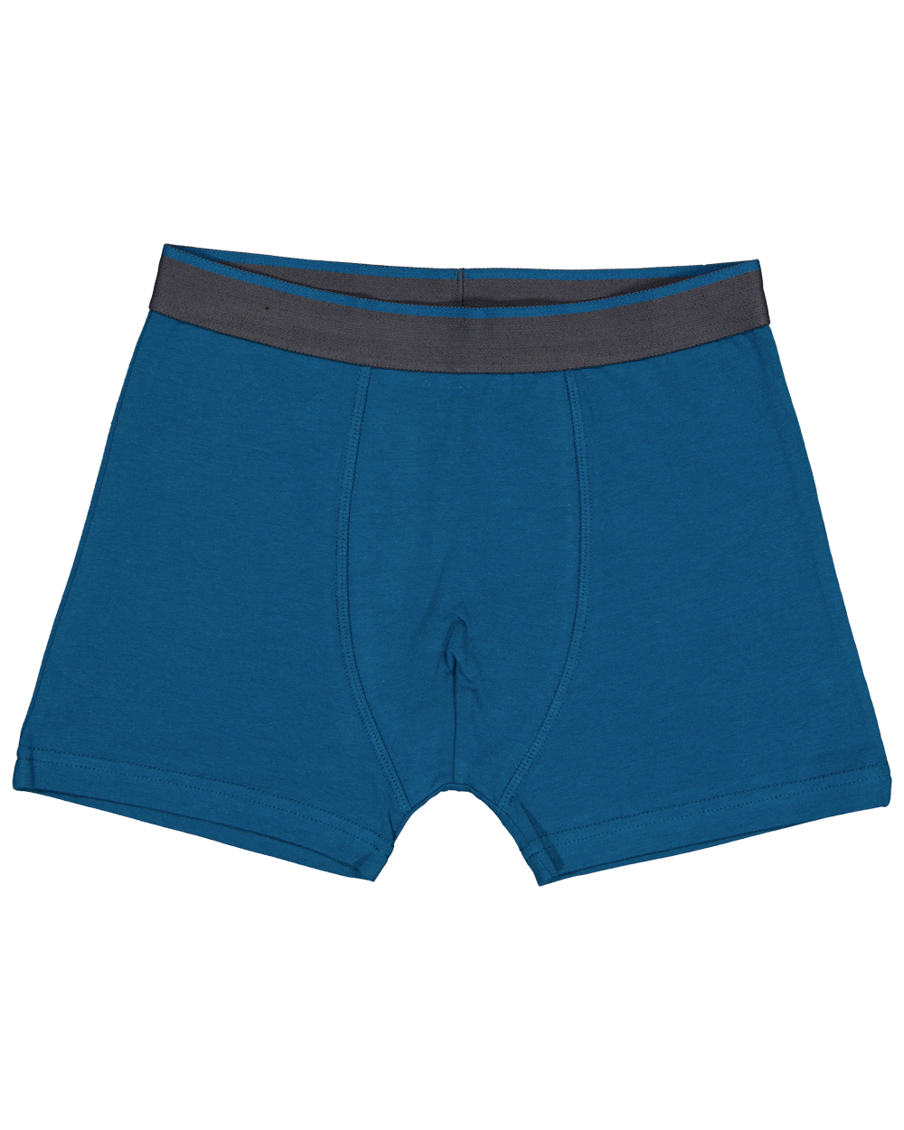 39242-boxer-gris-1.webp