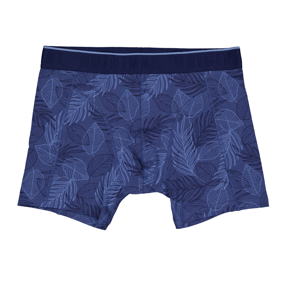 Boxer - Bleu