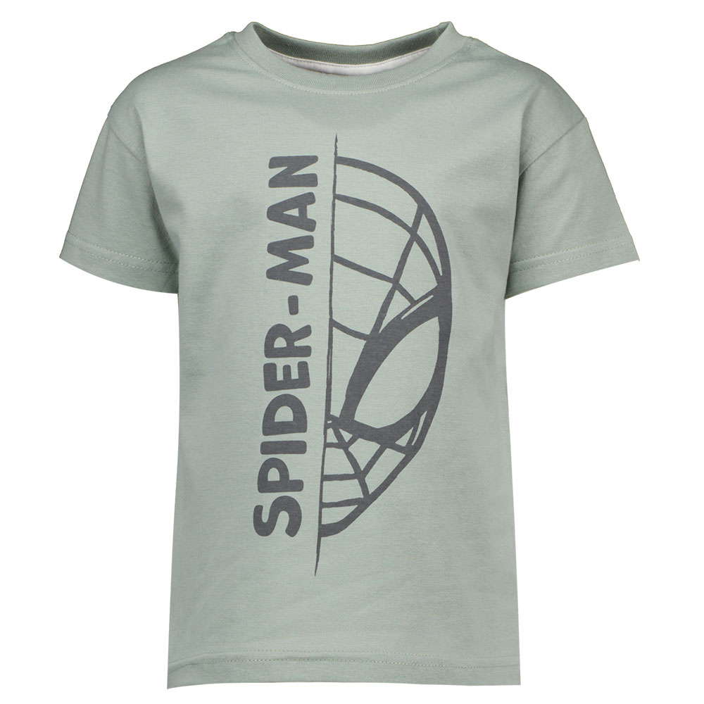 Tee-shirt - Gris