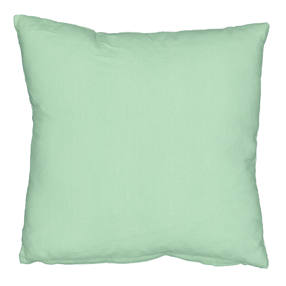 42497-coussin-d-coratif-vert-1.png