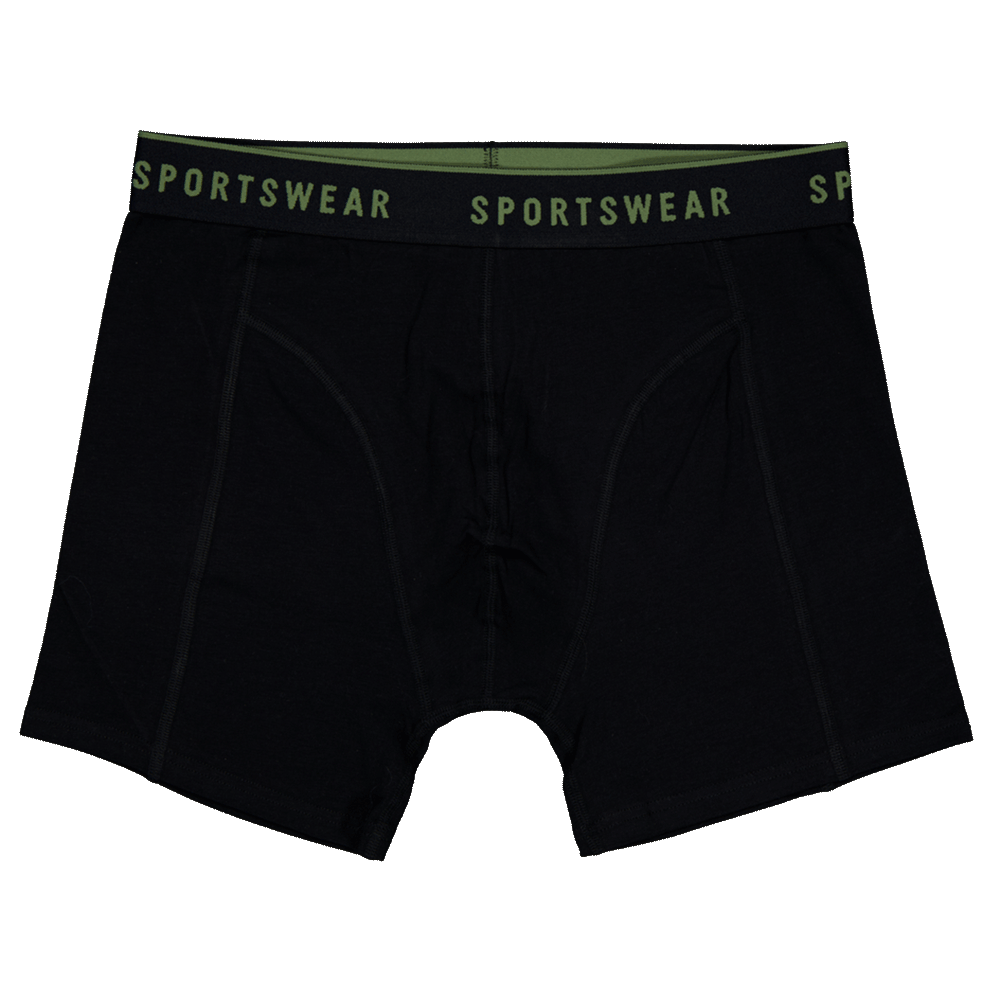 42856-sportswear-boxer-vert-1.png