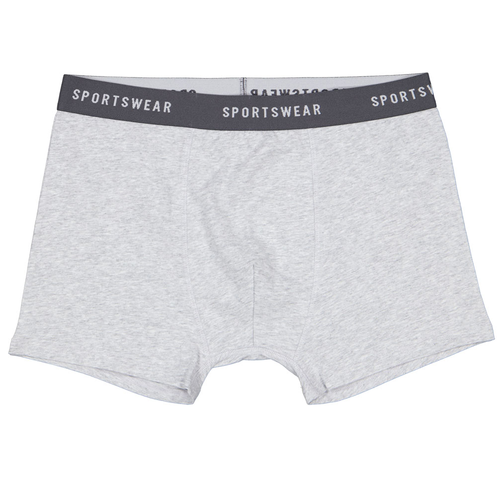 44766-boxer-gris-1.jpg