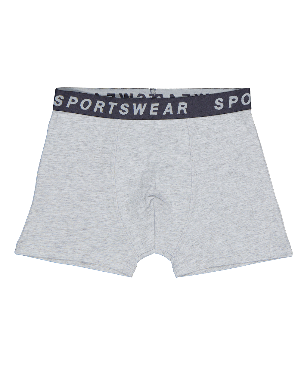 45434-boxer-gris-1.webp