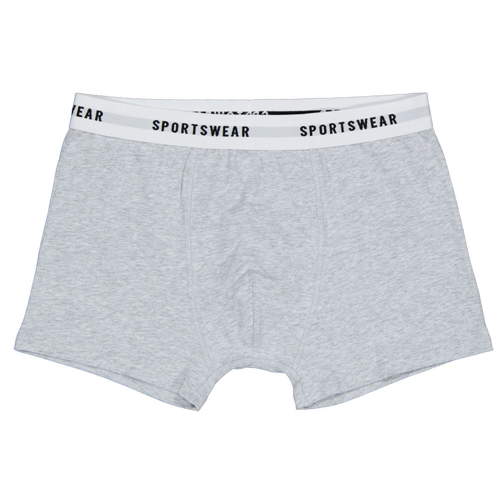 45506-boxer-gris-1.png