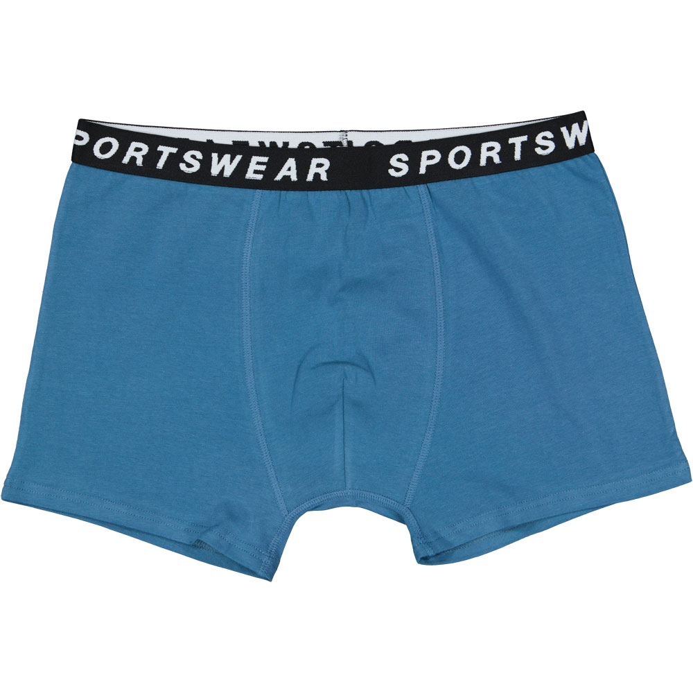 Boxer - Bleu