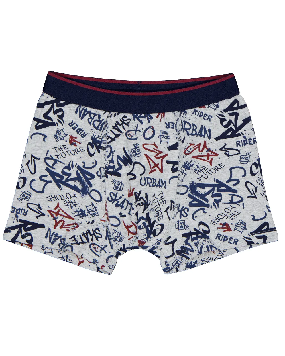 46765-boxer-gris-1.webp