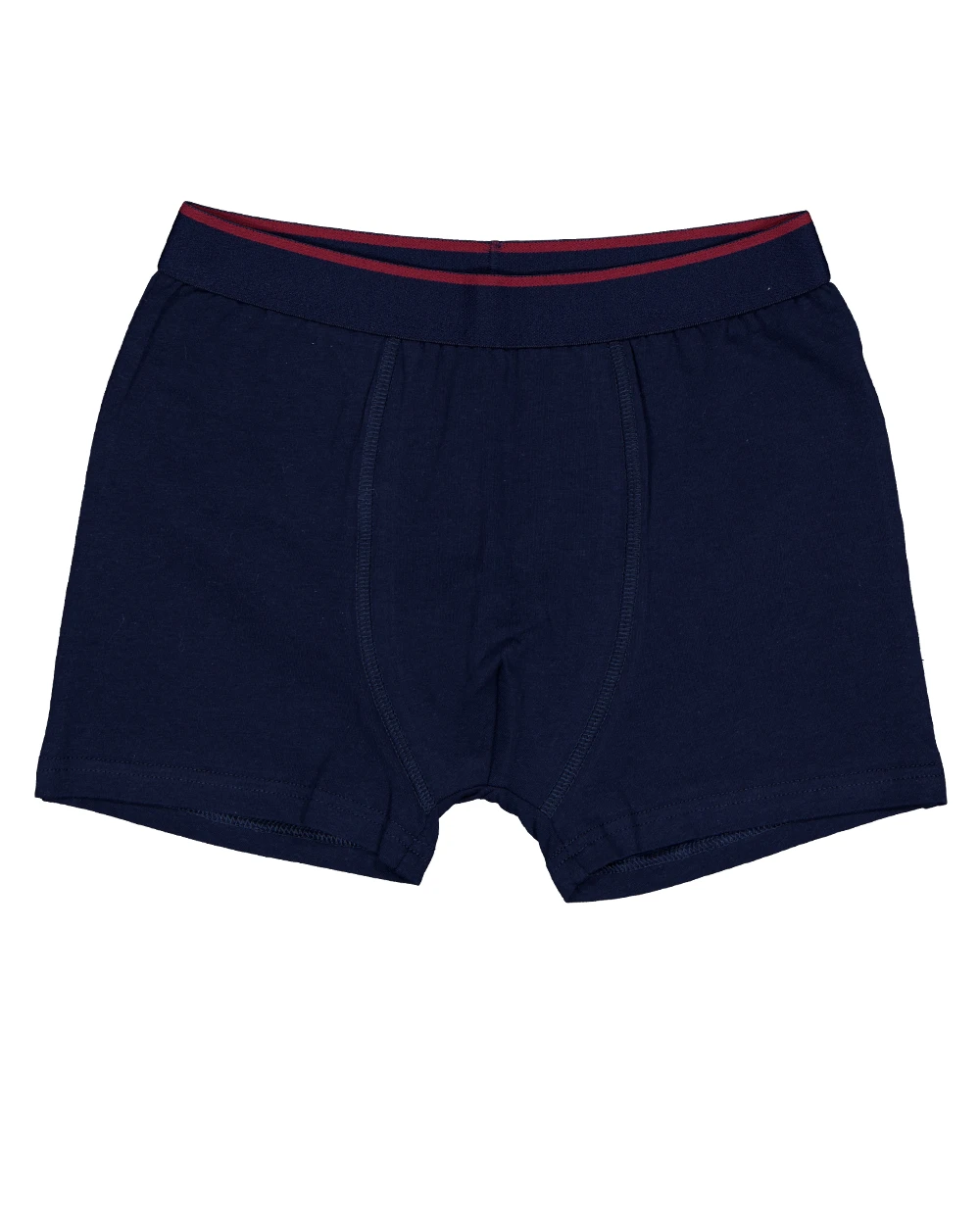 46765-boxer-gris-1.webp