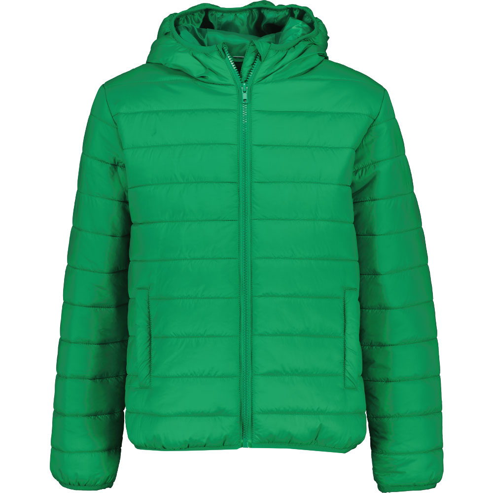 Veste/gilet - Vert 1 46991-veste-gilet-vert-1.jpg
