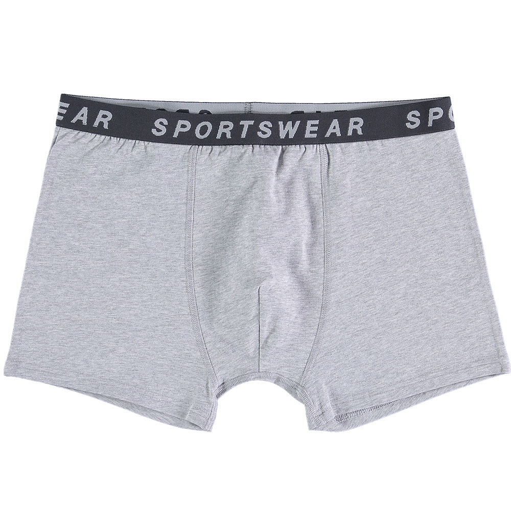 47159-boxer-gris-1.jpg