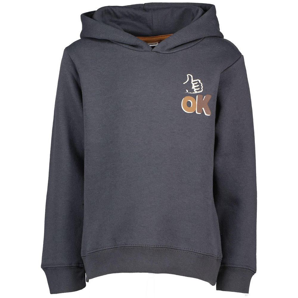 Sweat Ã  capuche - Gris