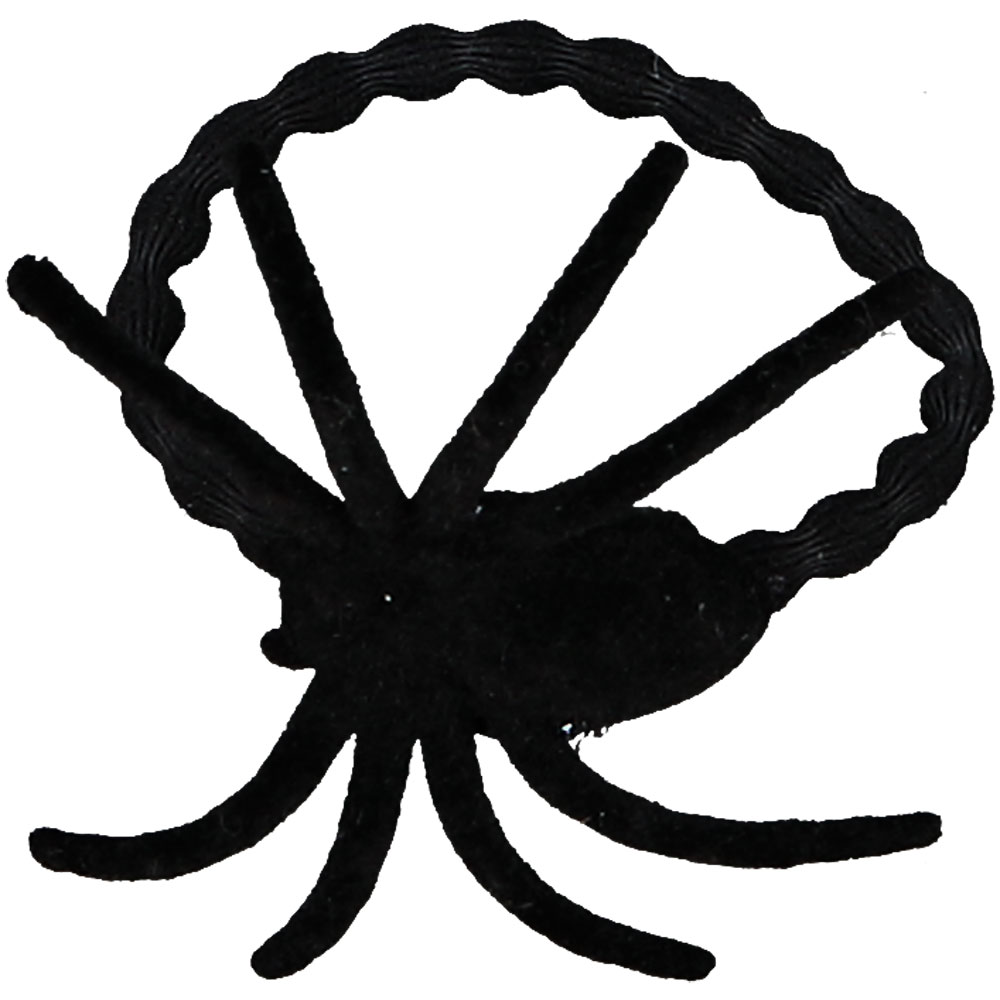 Accessoires pour cheveux  - Noir