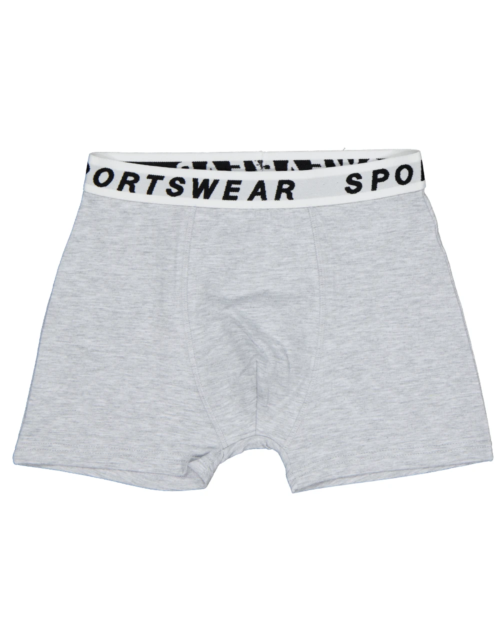 53566-boxer-gris-1.webp