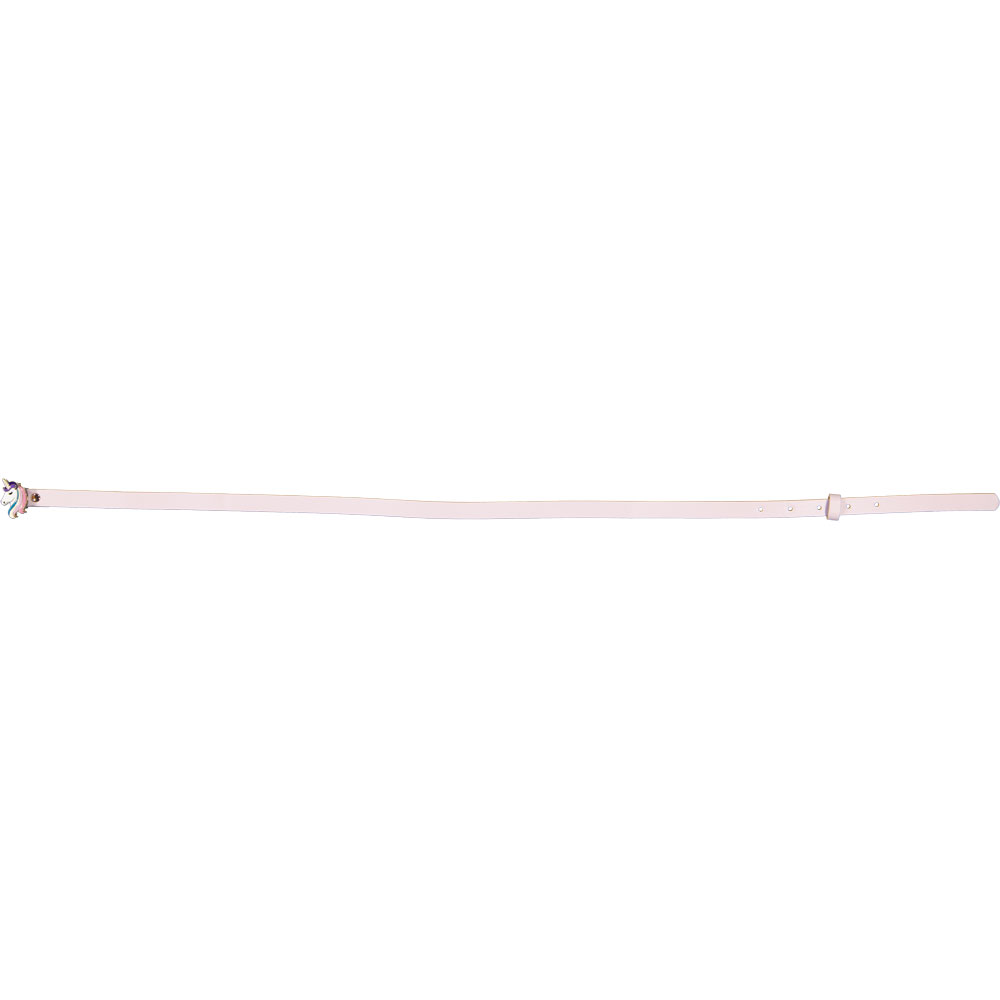 Ceinture - Violet