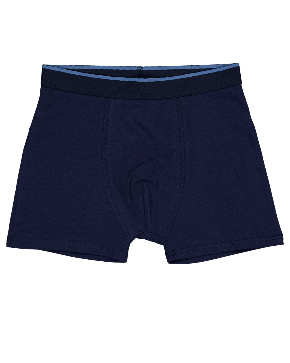 61295-boxer-gris-1.webp