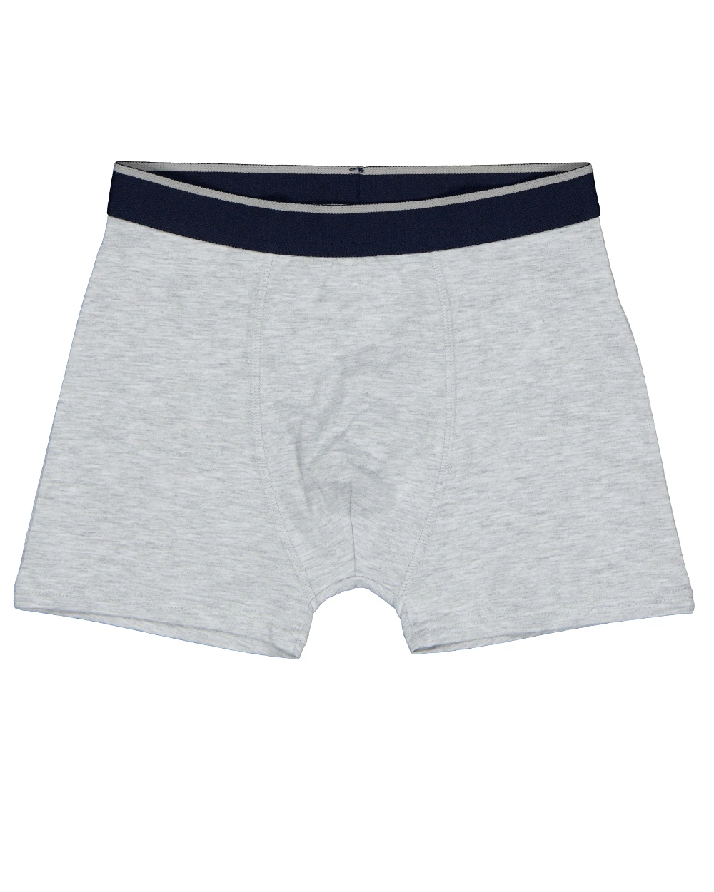 61295-boxer-gris-1.webp