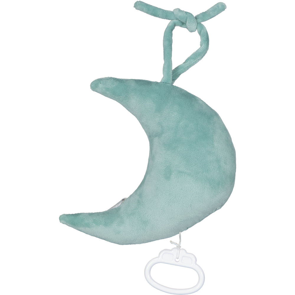 Boîte à musique - Vert 1 63646-bo-te-musique-vert-1.jpg