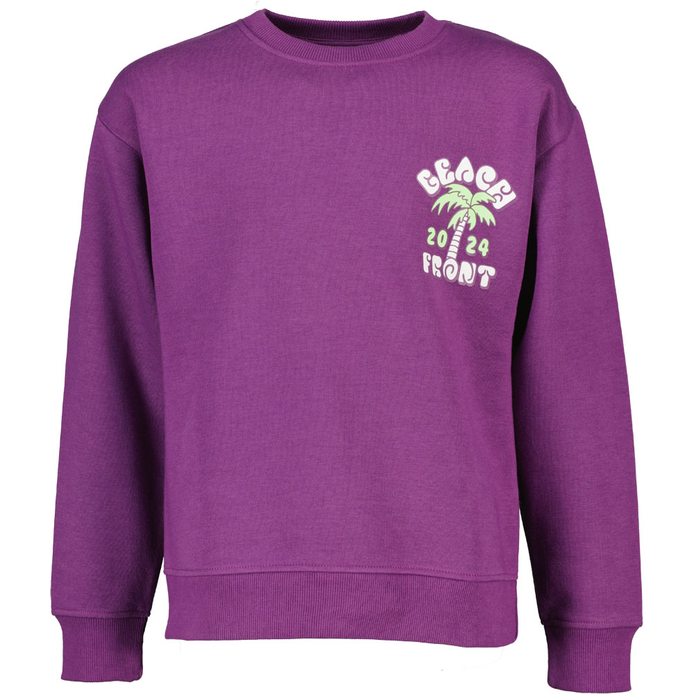 Sweat - Violet 10 64555-sweat-violet-1.jpg