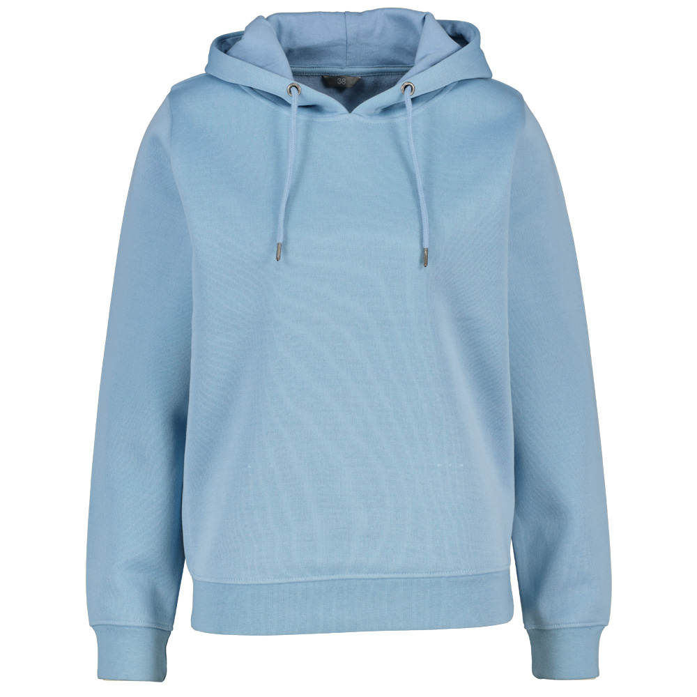 Sweat à capuche - Bleu 1 65388-sweat-capuche-bleu-1.jpg