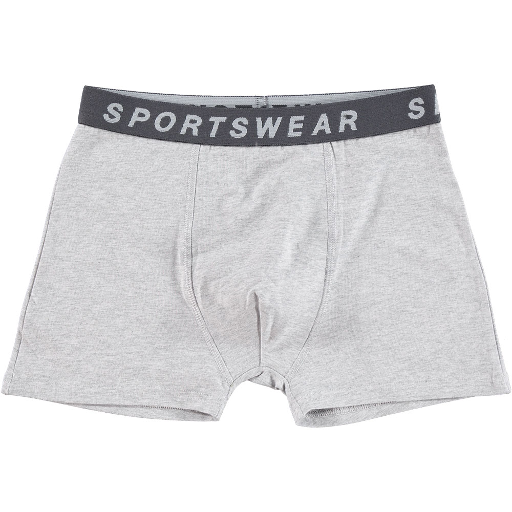 66074-boxer-gris-1.jpg