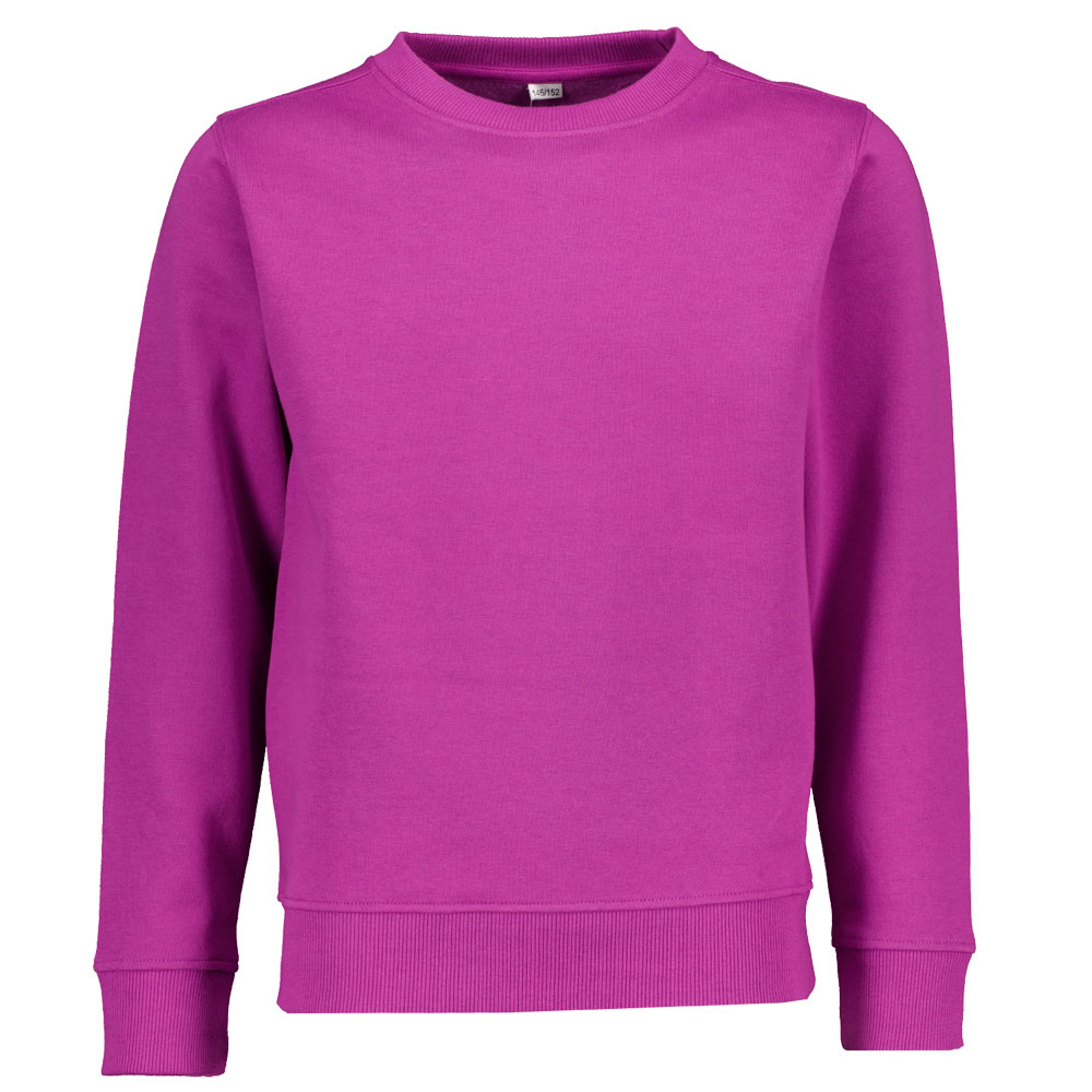 Sweat - Violet 6 66418-sweat-violet-1.jpg