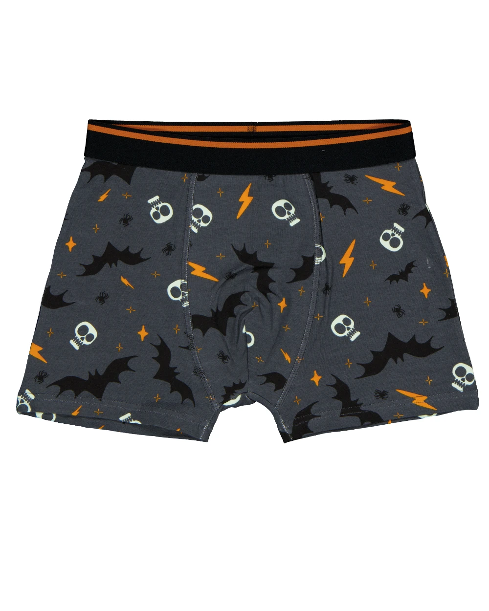 67149-boxer-gris-1.webp