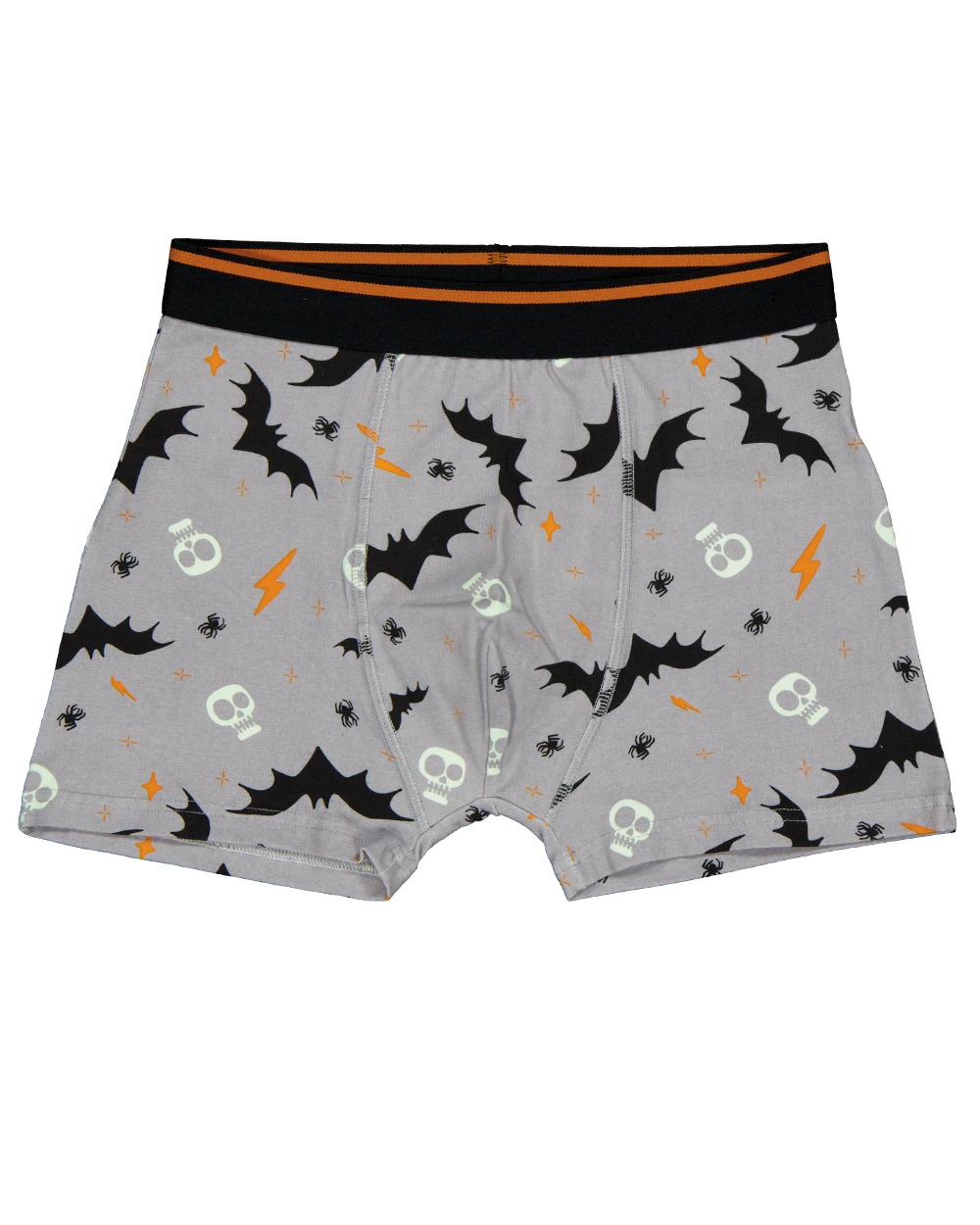 67149-boxer-gris-1.webp