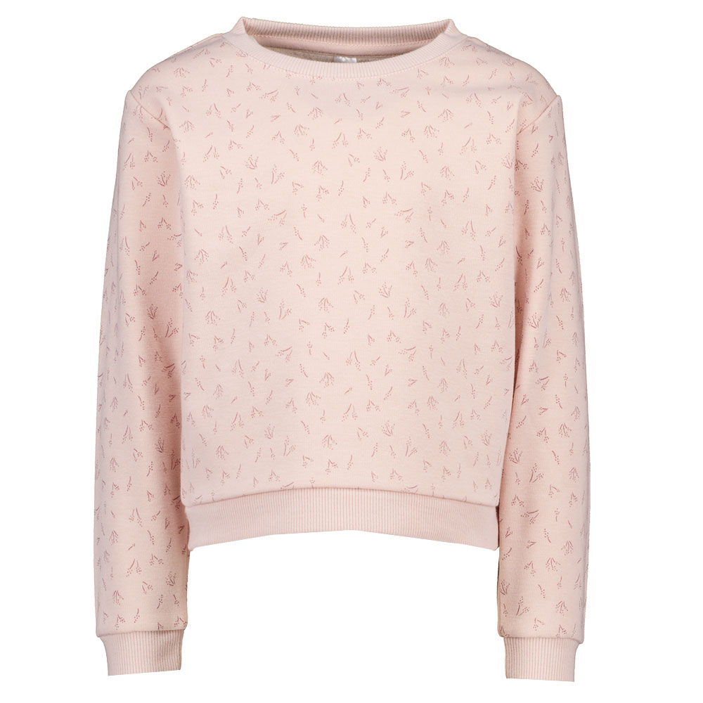 Sweat - Rose 1 68236-sweat-rose-1.jpg