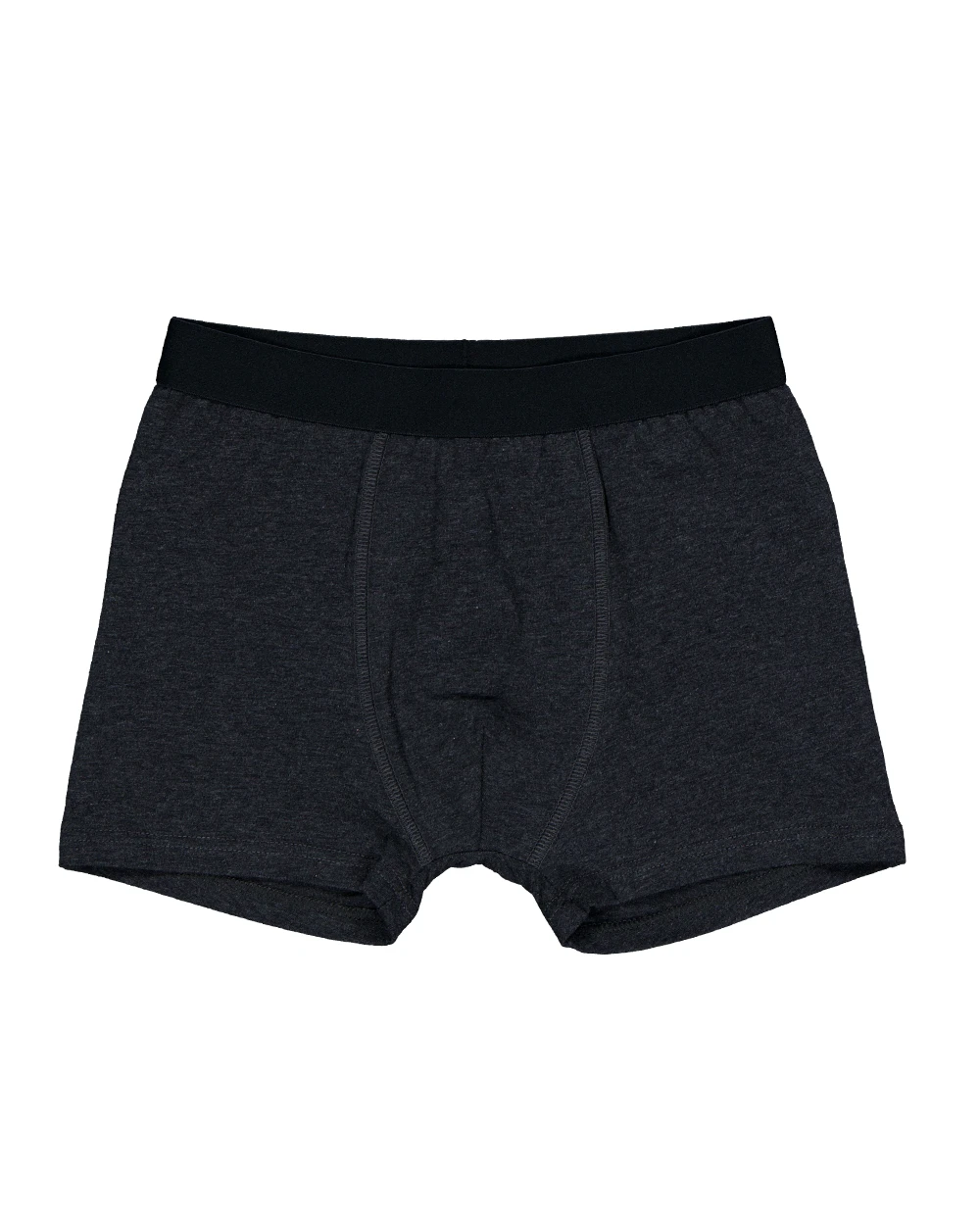 93-boxer-gris-1.webp