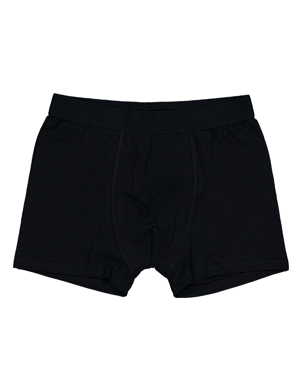 93-boxer-gris-1.webp